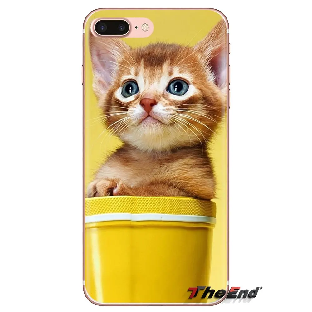 Мягкий прозрачный чехол для телефона с кошкой Xiaomi Mi3 samsung A10 A30 A40 A50 A60 A70 Galaxy S2 Note 2