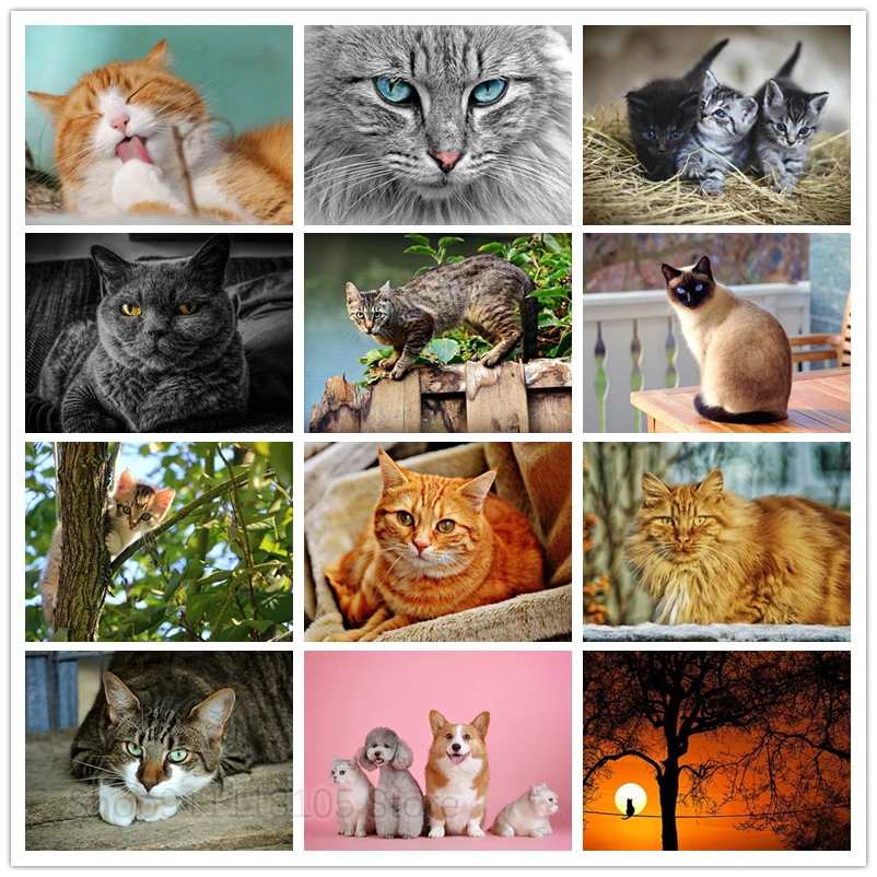 

DIY Full Square Animal Diamond Painting Cute Cat 5d Diamond Embroidery Rhinestone Mosaic Cross Stitch Wall Decoration