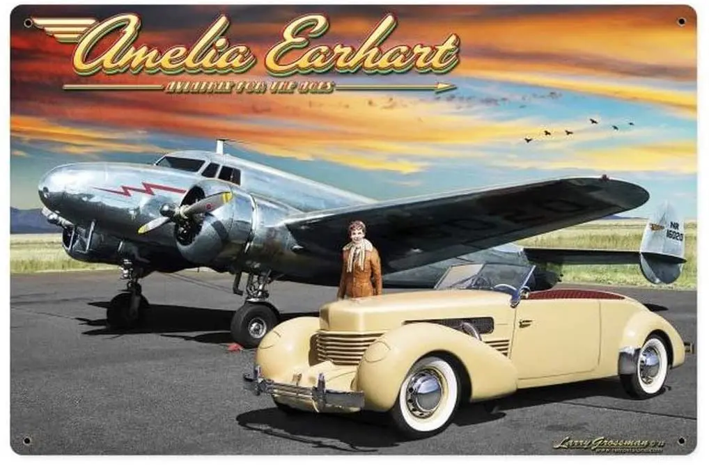 

Винтажный металлический жестяной настенный знак Losea Amelia Earhart для кафе, бара, паба, пива, 12x8 дюймов