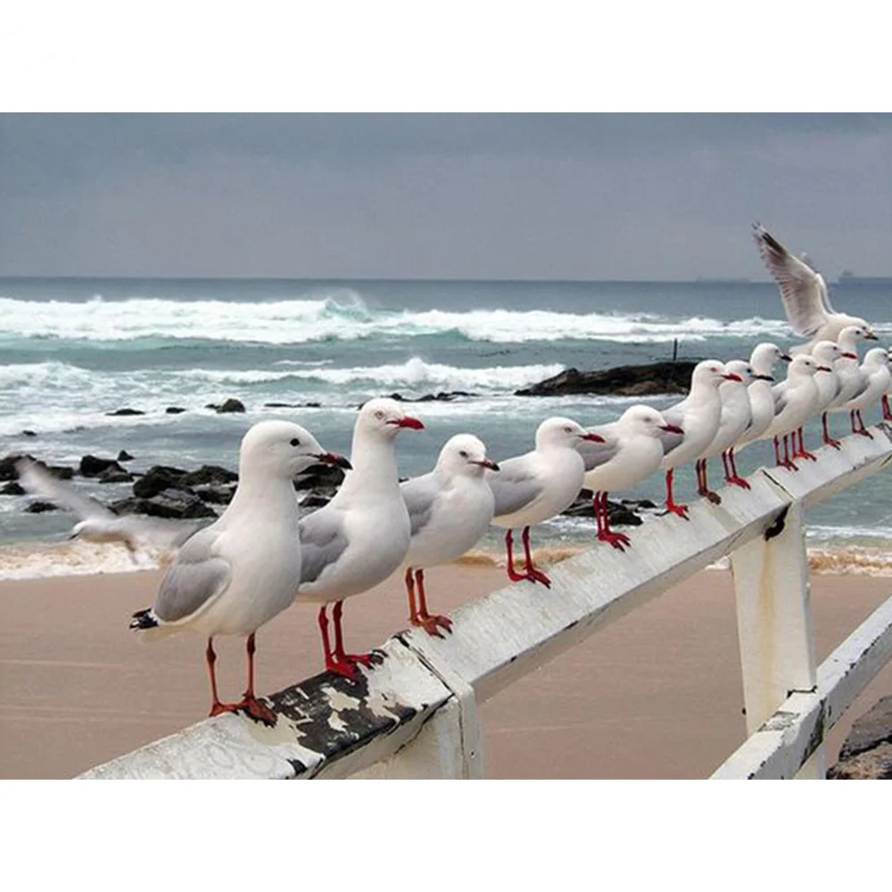 5d diy алмазная живопись комплект Чайка на берегу моря Вышивка крестом Алмазная