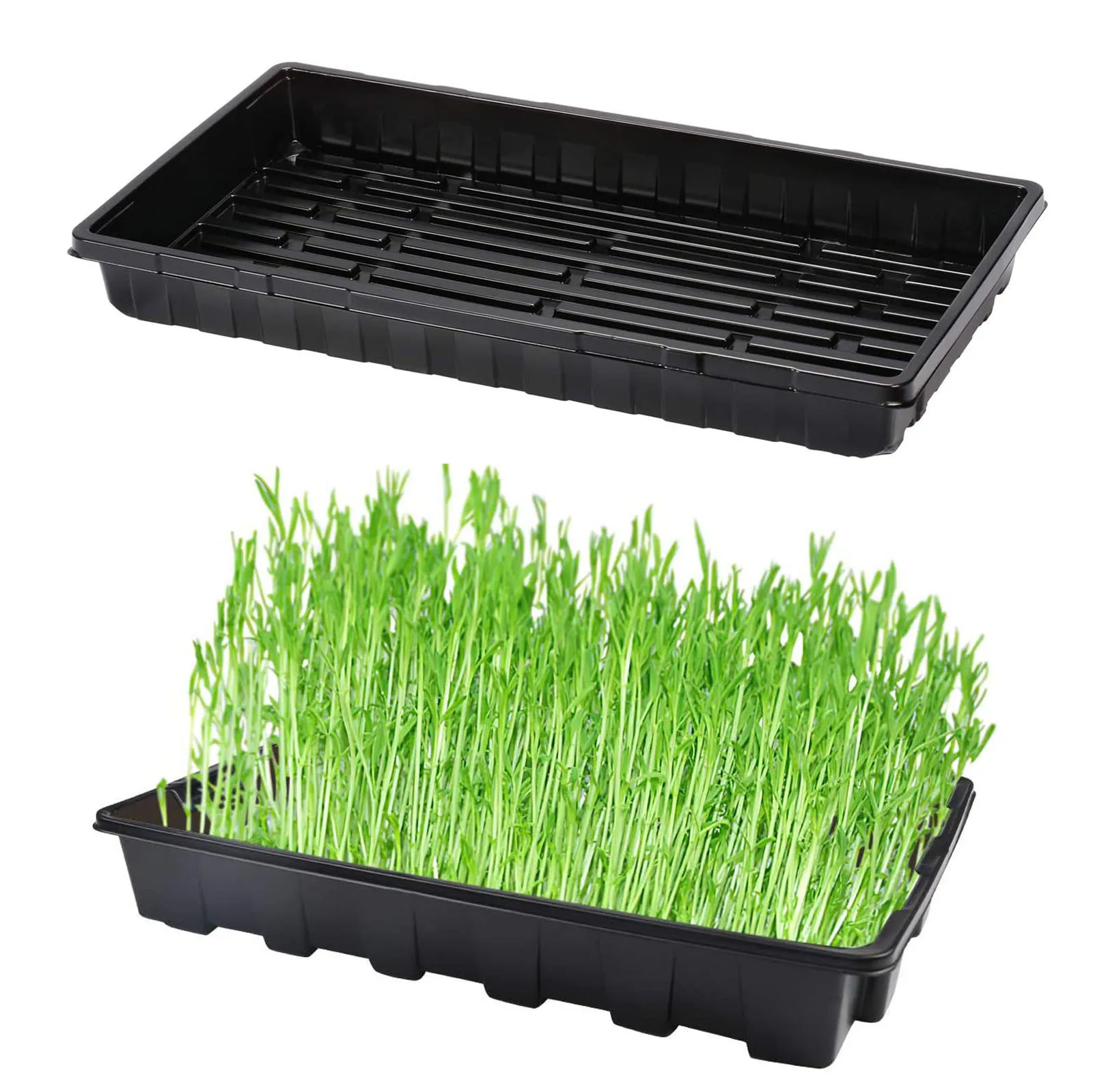 

Durable Seed Starter Growing Trays kit Flowers Seedlings Plants Base 10PC semillas de plantas jardinage intrieur