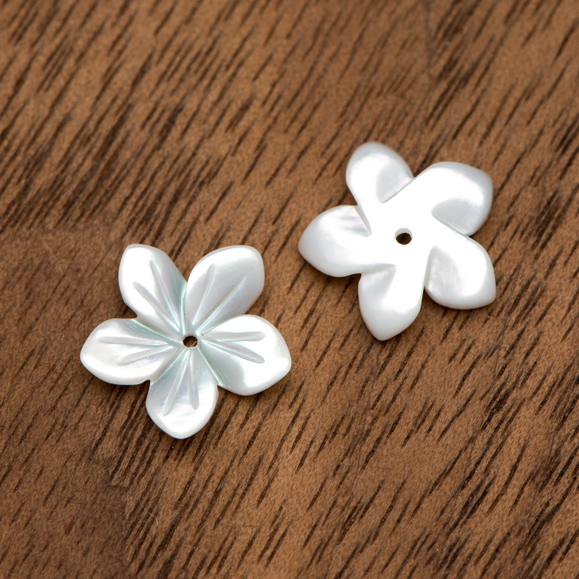 10 шт. белого перламутра цветы нежные оболочки Цветы мм изысканные Швабра