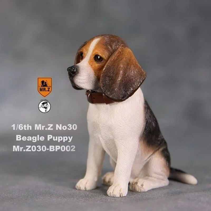 

1/6 scale Mr.Z No.30 Beagle Puppy BP001/BP002 Dog simulation animal model toy For 12' action figure doll Accessory