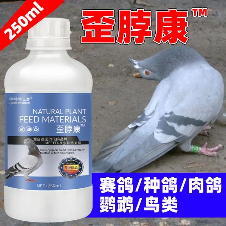 

Pigeon Parrot Bird Crooked Head Neck Twisted Neck Shrunk Neck Shake Head Common Disease Medicine Pigeon Medicine