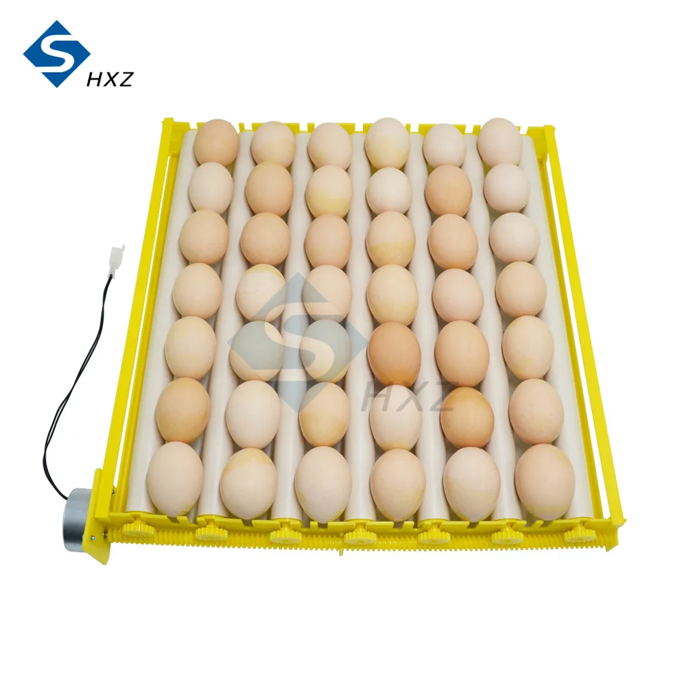

NEW 360° Automatic Rotating Egg Tray 42 Incubator Roller Egg Tray Combination 220V Kit 110V Kit