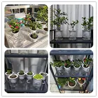 Прозрачный автоматический водопоглощающий круглый пластиковый гидропонный горшок для украшения дома, 1 шт.