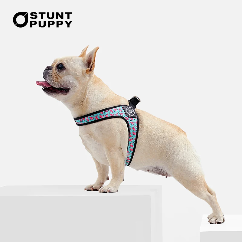 Stunt Puppy Легкая удобная шлейка для собак с принтом Фламинго маленькие шлейки