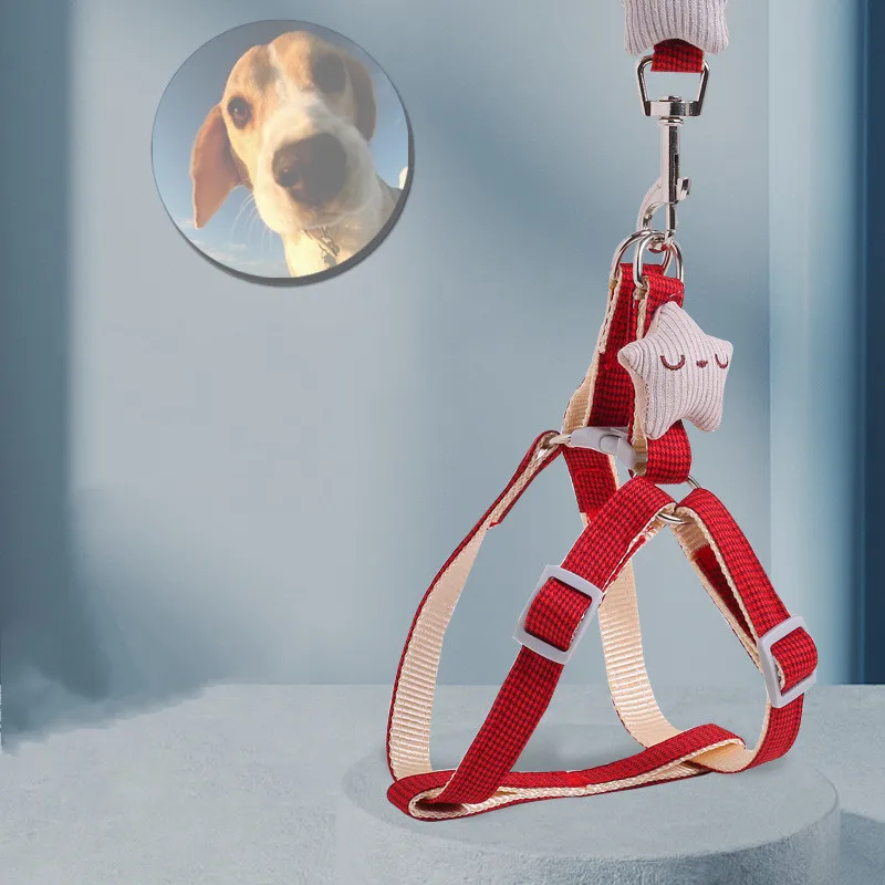 

Cartoon Pet leash Chest Strap Summer Seasons Small And Medium-Sized Dogs Cats Dog leashes Pet Supplies