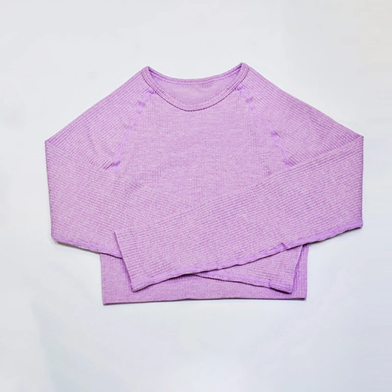 Purple Top Женский спортивный костюм, Леггинсы для йоги, ropa deportiva mujer, женские спортивные штаны для йоги, одежда для спортзала, одежда для йоги, Женский комплект для йоги с высокой талией - Цвет: Purple Top