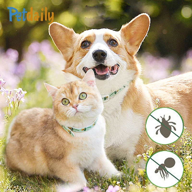 

Cute Flea Tick Collar for Dogs,2 Month Protection Plant Essential Oil Safe Anti Flea Tick Collar for Small/Large/Dogs,Puppy,Cat