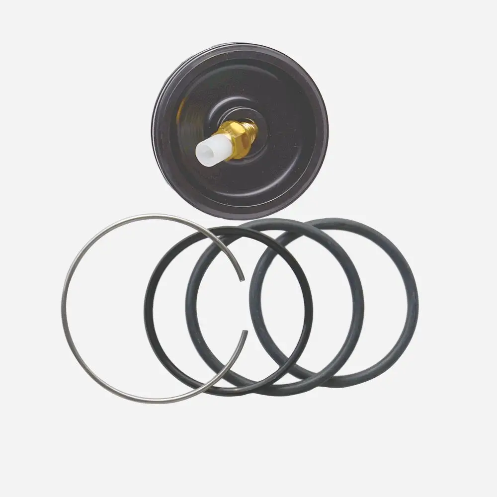 Передняя Пневматическая Подвеска AP02 пружина для Mercedes R-Class W251 V251 R 280 300 320 63 350 500