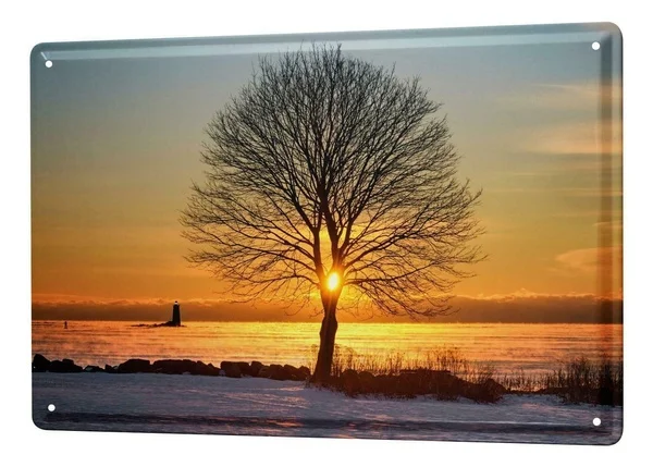 

Tin Sign Fun Ravtive Sunset Coffee Bar Decoration Home Decor