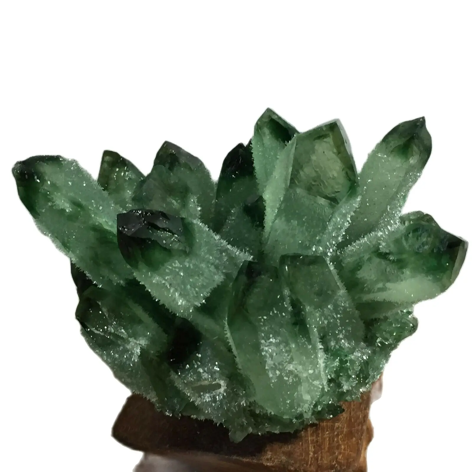 

Зеленый Phantom кристалл кварца кластера минеральной с лечебным действием, образцы