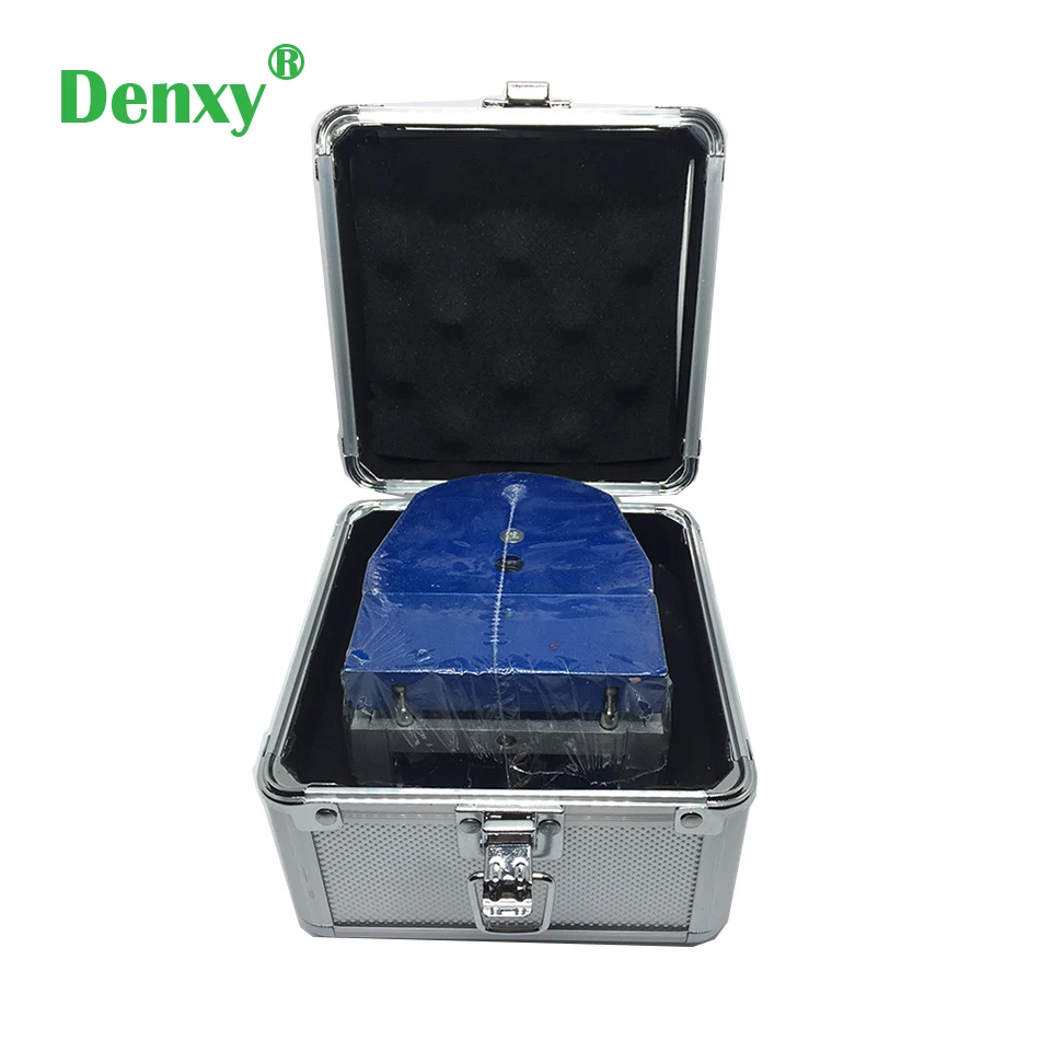 Стоматологическая Ортодонтическая модель Denxy зубного исследования