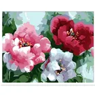 Набор для рисования по номерам на холсте, маки, цветы