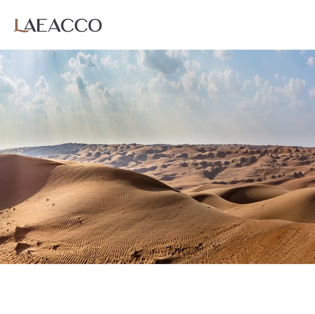 

Laeacco Beautiful View Desert Trip Party Photozone Sunny Day Scenic Photographic Backdrop Photo Background Photocall Photostudio