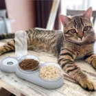 Миска для домашних животных кошек с двумя чашами Еда подачи воды с автоматическим диспенсер для воды с рисунком собачки и котика Еда чаша питьевой фонтанчик рельефные подставки блюдо трёх чаши