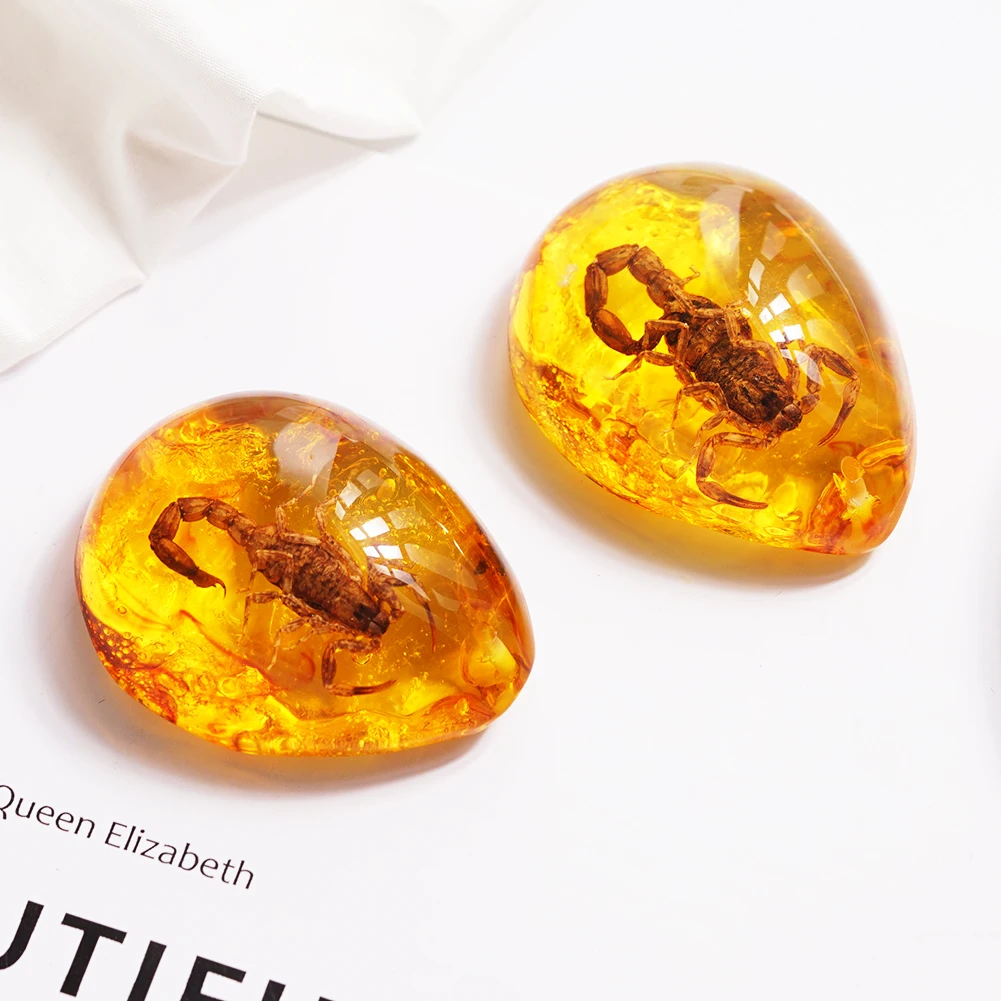 Натуральный Янтарный Скорпион образец насекомых камень кулон ожерелье