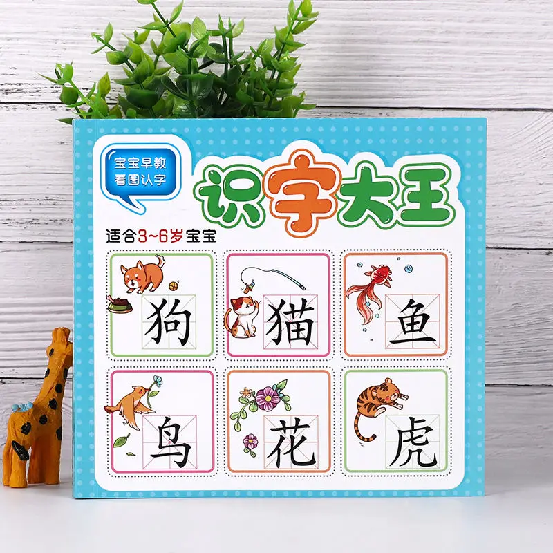 

First Grade Chinese Learn Characters Books Look At The Picture Literacy Pictures Enlightenment Early Education Card Book