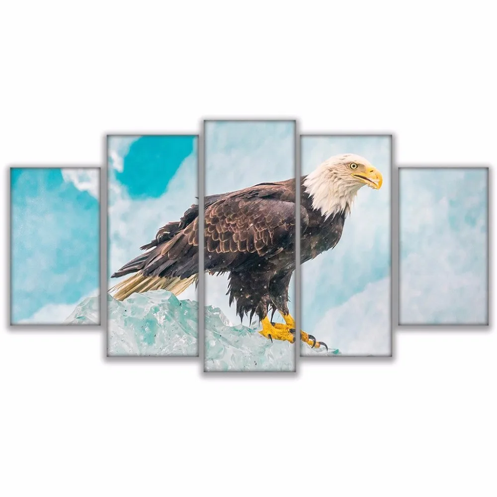 HD Высокое Качество Современная Картина на холсте 5 шт. лысый орел наклейка