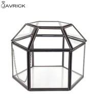 clear glass brass tone metal hinged top lid terrarium boxtabletop jewerly display case