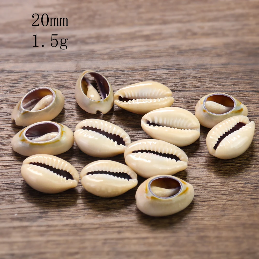 5 шт. подвеска в виде ракушек | Украшения и аксессуары