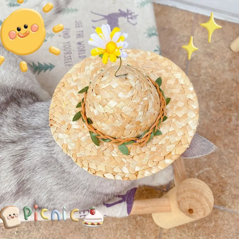 

Funny Pet Dogs Straw Hat Sombrero Cat Sun Hat Beach Party Straw Hats With Braids Dogs Hawaii Style Hat For Dogs Accessories