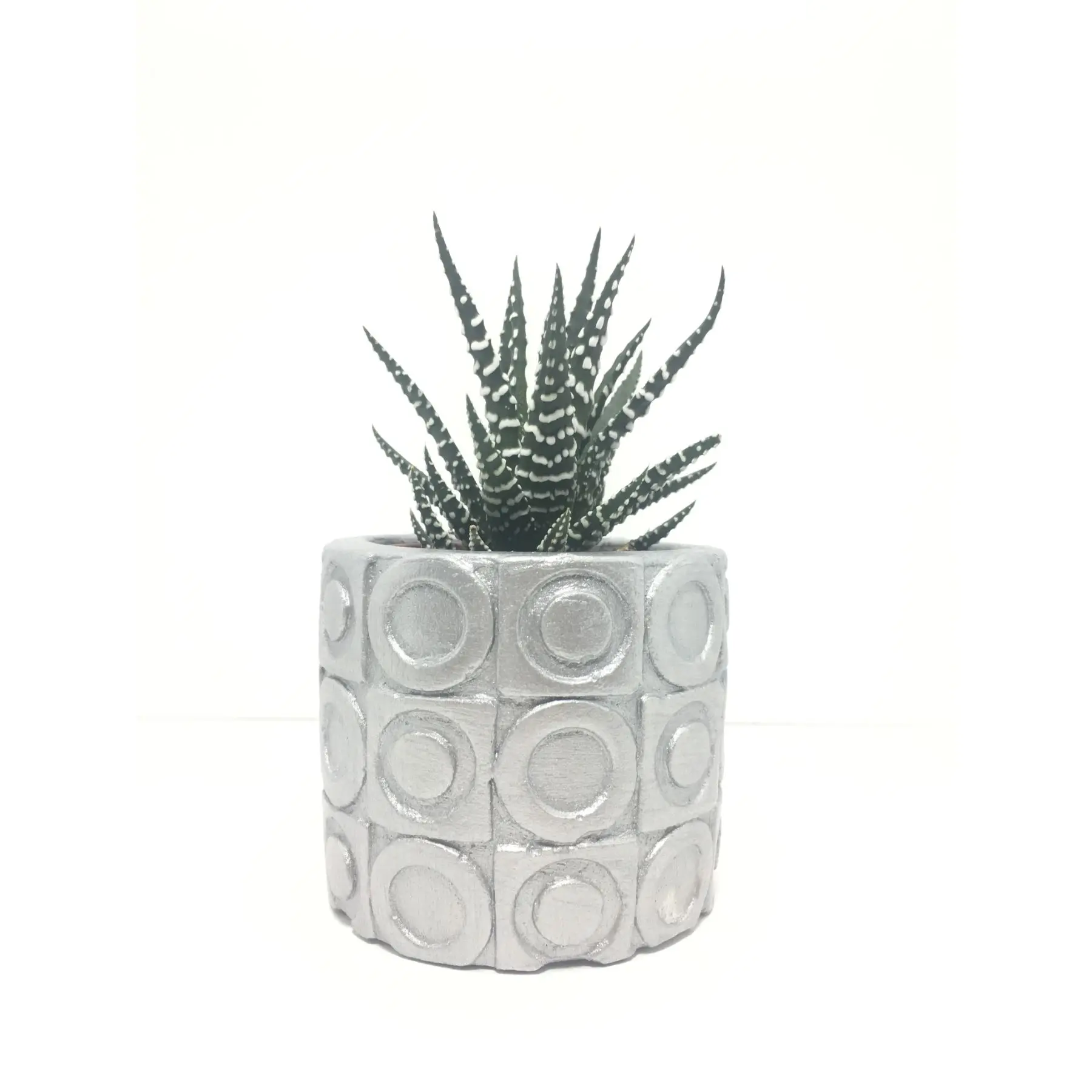 

Oval Textured Concrete Pot and Live Sukulent - YE1606
