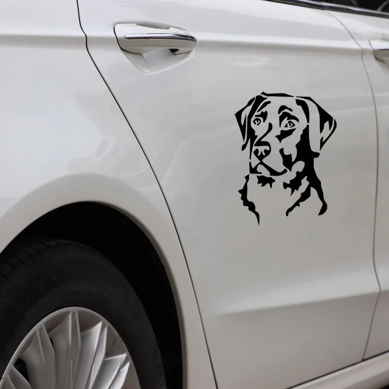 

Vinyl Car stickers Decals Motorcycle Accessories Car-Window Decorative Goods PVC 15cmx11cm Funny dog