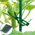 Многоразовые крючки для растений, регулируемые пластиковые стяжки для теплиц, овощей, садов, 50100200 шт.