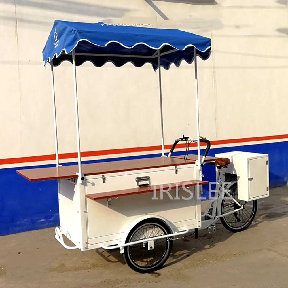 3 колеса уличный Электрический мобильный фаст-фуд торговый велосипед корзина для