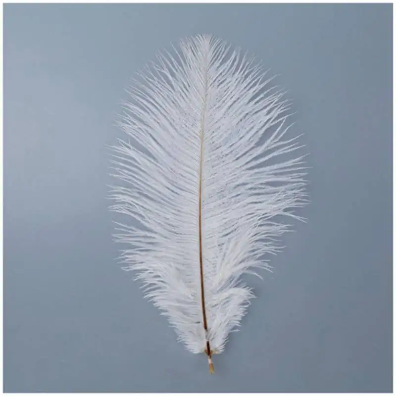 

10 Pieces White Natural Ostrich Feather 20-25cm Wedding DIY