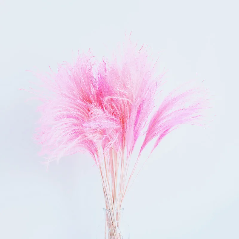 30pcs pink color 30 шт. Будда пыль цветок тростник пампасы трава натуральный сухой цветок букет homestic prop цветы - Цвет: 30pcs pink color