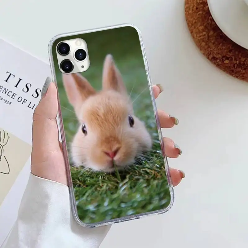 

Cute White Baby Rabbits Phone Case For iphone 12 5 5s 5c se 6 6s 7 8 plus x xs xr 11 pro max