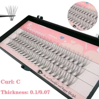 60 clustersbox eyelash bundles natural eyelash extension tufts of eyelashes 10d0 10 07 thickness individual lashes