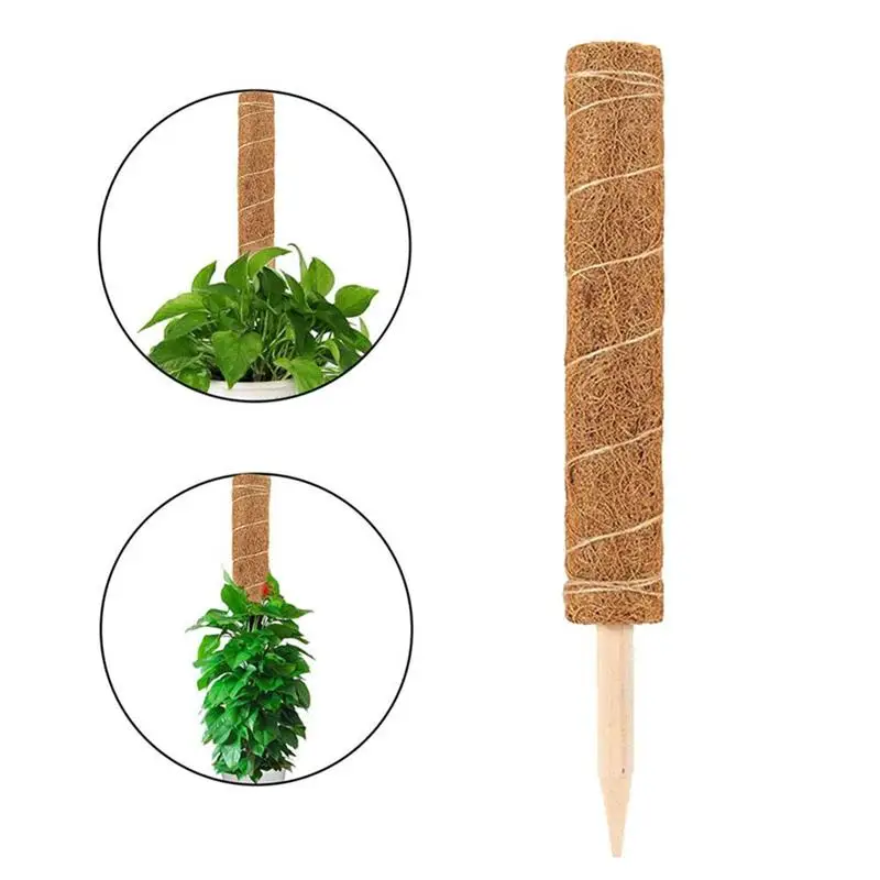 

5PCS Natural Coconut Palm Stick Plant Climbing Frame Home Garden Balcony Creeper Support Frame Greenhouse Flower Frame