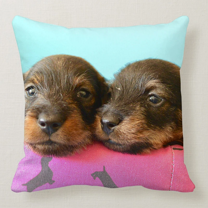1 шт. 45*45 см милая собака подушка чехол Wirehaired подушки с таксой диван кровать автомобиль подушка чехол Спальня украшение в виде таксы Подушка бухта