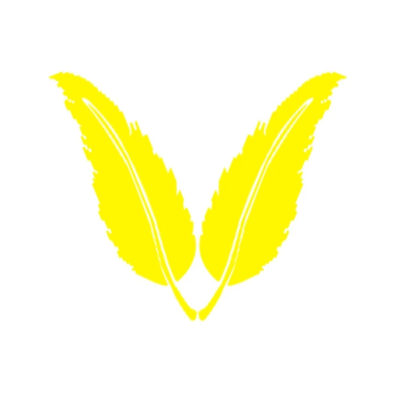 Наклейки для автомобиля оригинальные наклейки покрытие царапины перья