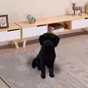 Изображение товара 4