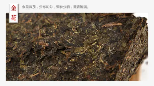 Золотой цветочный чай Фу кирпич темно Хунань аньхуа Цзиньхуа фу Чжуань 380 г K12 6| |