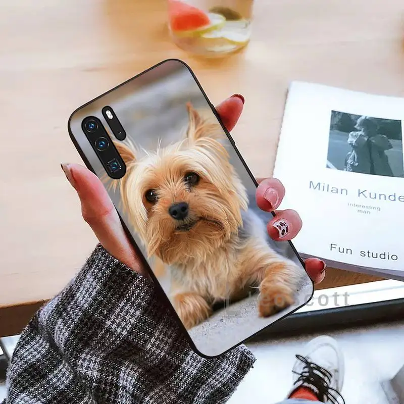 

Cute Yorkshire Terrier dog Phone Case For Huawei Y5 Y6 II Y7 Y9 PRIME 2018 2019 NOVA3E P20 PRO P10 Honor 10