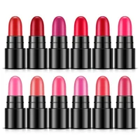 12pcsset lipsticks set long lasting sexy red lip stick tint pen waterproof makeup cosmetic mineral pigment batom