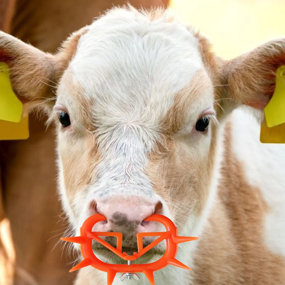 

Cow Nose Weaner Calf Cattle Nose Clip Plastic Cow Nose Thorn Weaning Tool For Stopping Milking agreeable