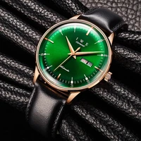 carnival brand watch men automatic mechanical wristwatches mens leather waterproof watches business mens clock relogio masculino