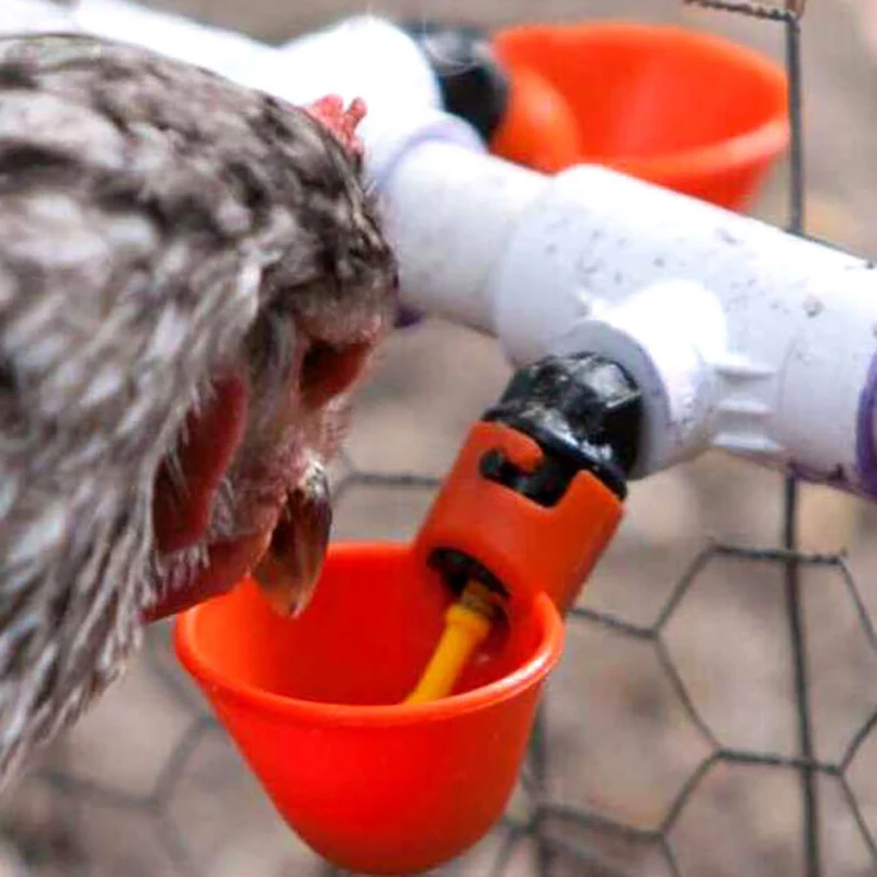 Автоматическая поилка для птицы устройство кормления домашней 10