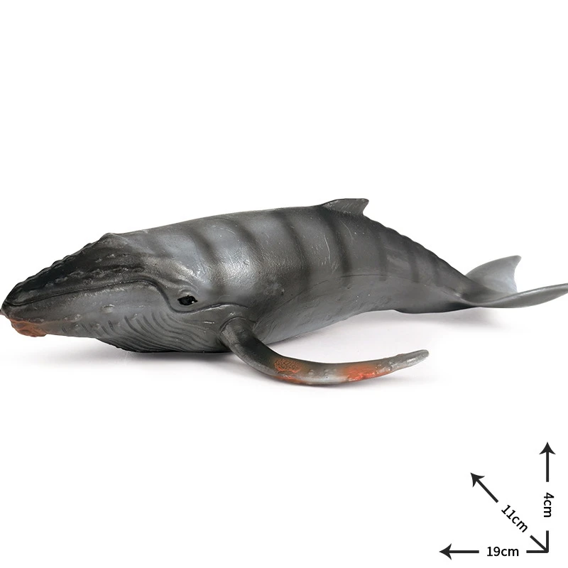 

Sea Life Whale Toys Simulation Animal Model Action Toy Figures Classic Toys Animal Model Collection