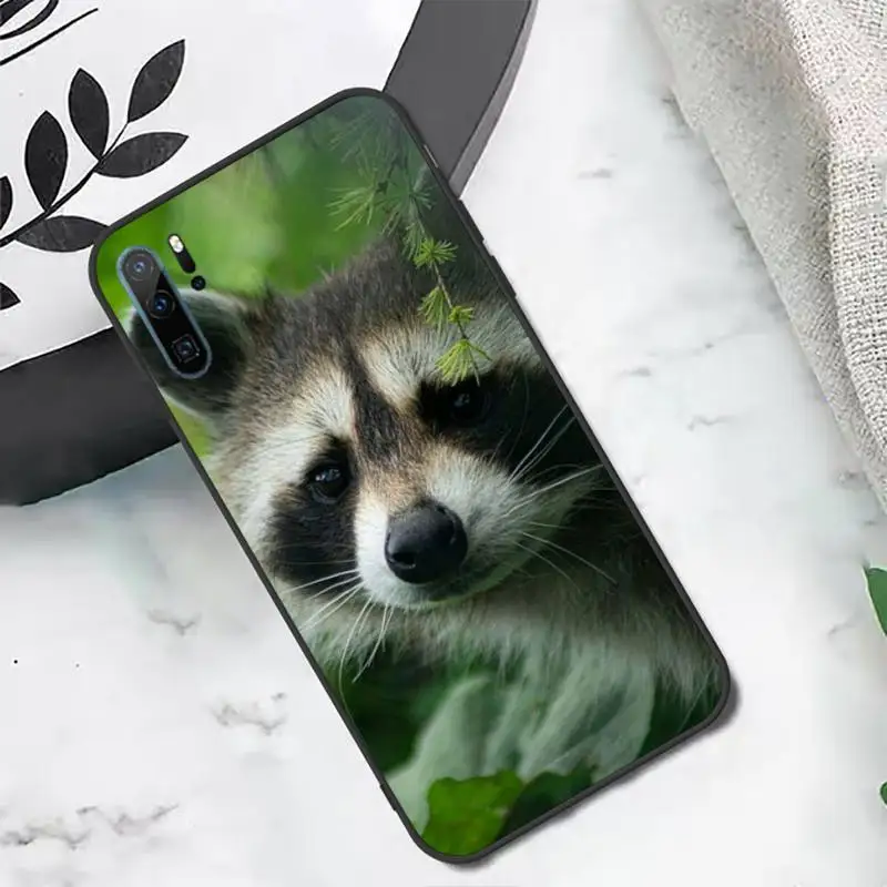 

Raccoon Cute wild animals Phone Case For Huawei honor Mate P 10 20 30 40 i 9 8 pro x Lite smart 2019 nova 5t