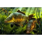 5D алмазная живопись для ловли карпа, Набор для вышивки крестиком, полная вышивка, Алмазная мозаика, искусство, картина стразы, Декор, подарок