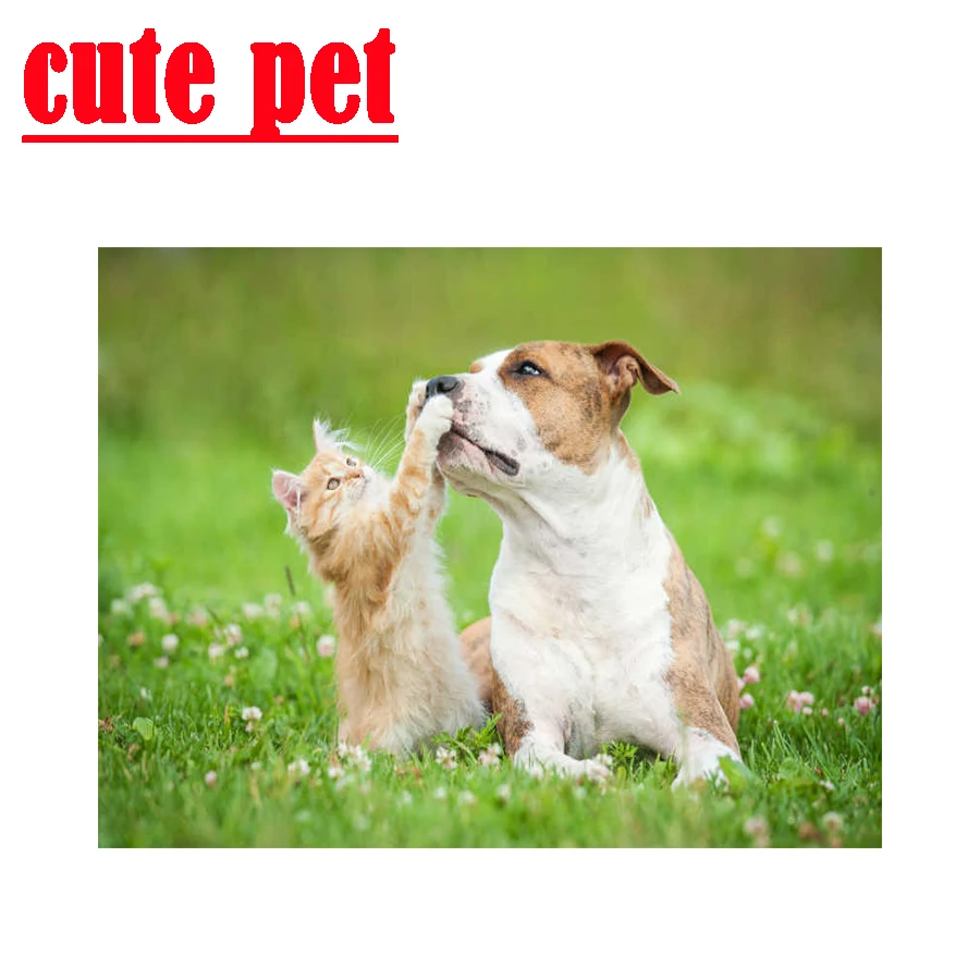 DIY Cat and dogs Animal home improvement cross-stitch Mosaic diamond Painting embroidery all drill square drill photo wallpaper