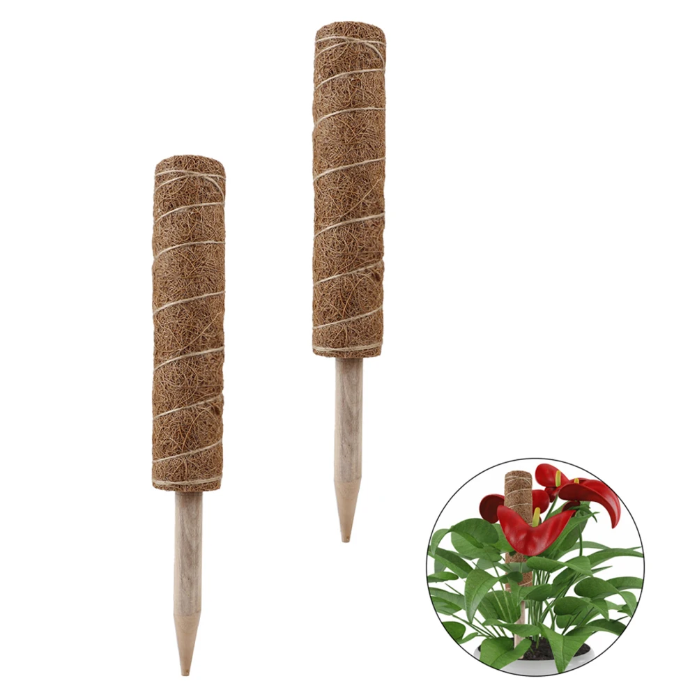 

Pole Stick Moss Poles Individually Climbing Coir Gardening Tools Extendable 2PCS 50cm The Blooming Jungle Support Indoor Plants